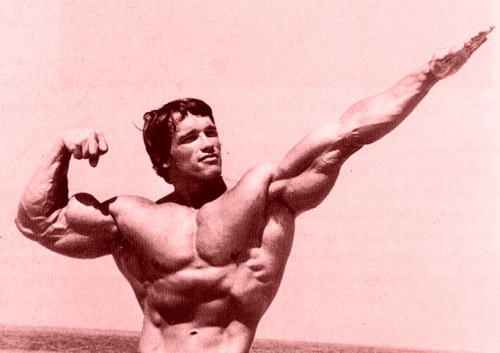 ���� ����� ������ arnold �����